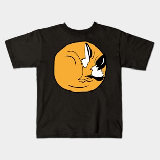 Sleeping Fox Kids T-Shirt